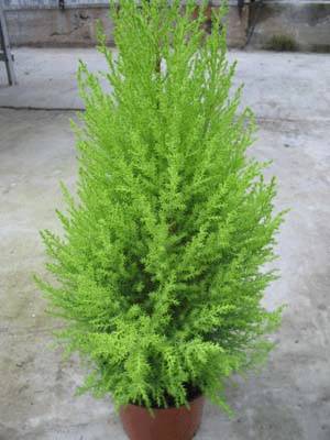 d2ddf10b8eba.jpg
