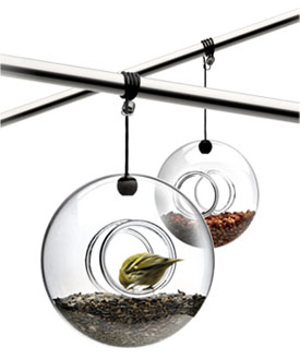 evasolo_birdfeeder.jpg